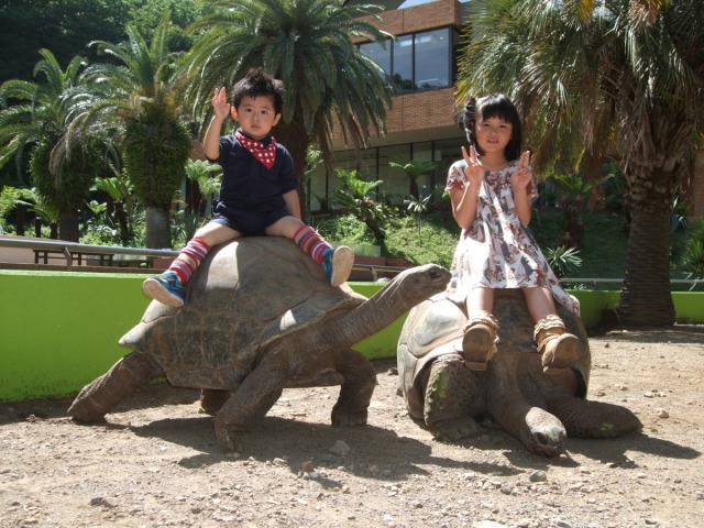 体感型動物園