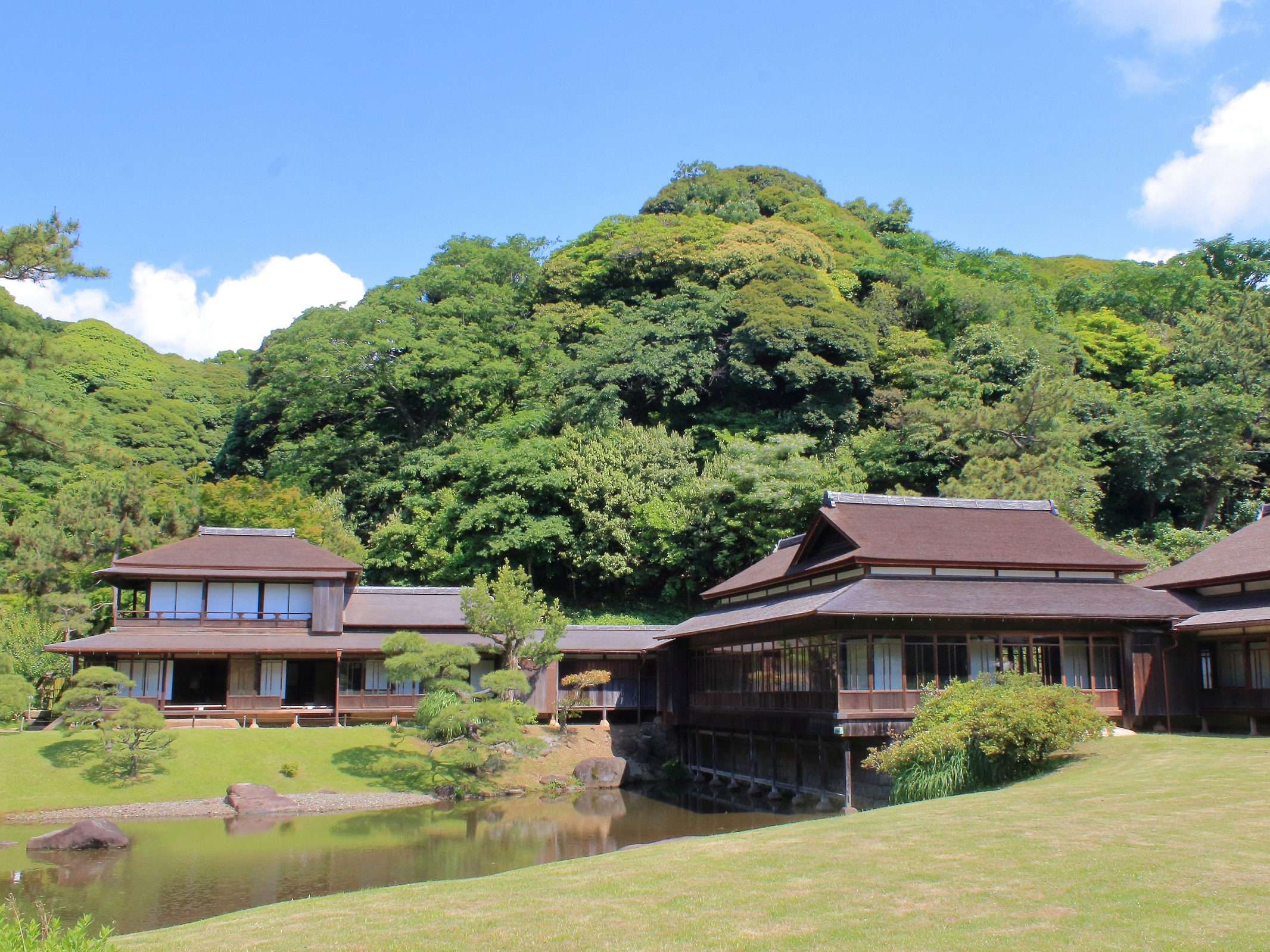 新緑の三溪園。