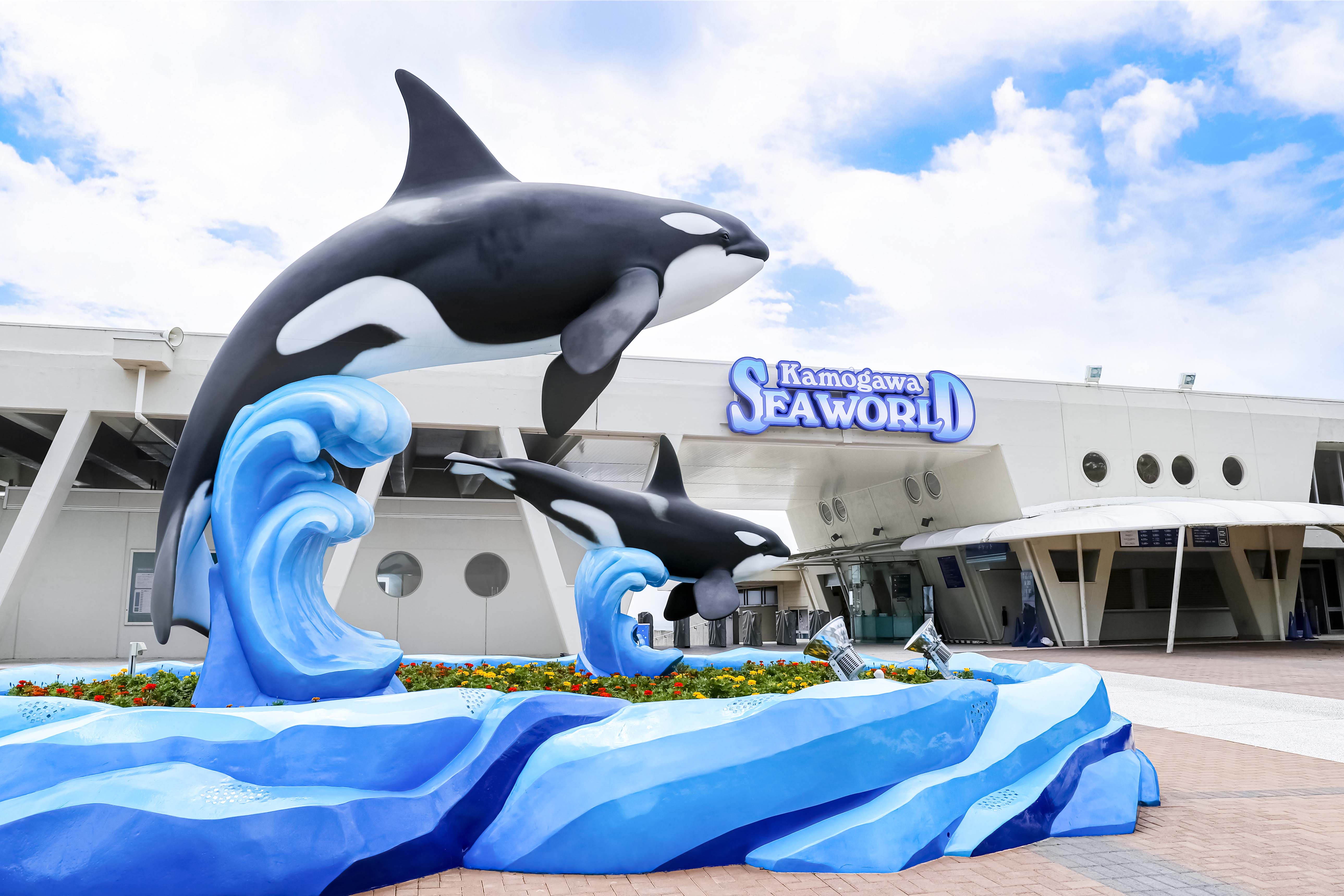 Kanto Outing Recommended for families with children! Children Family Indoor spots Chiba Kamogawa Sea World Exterior Entrance Killer whale