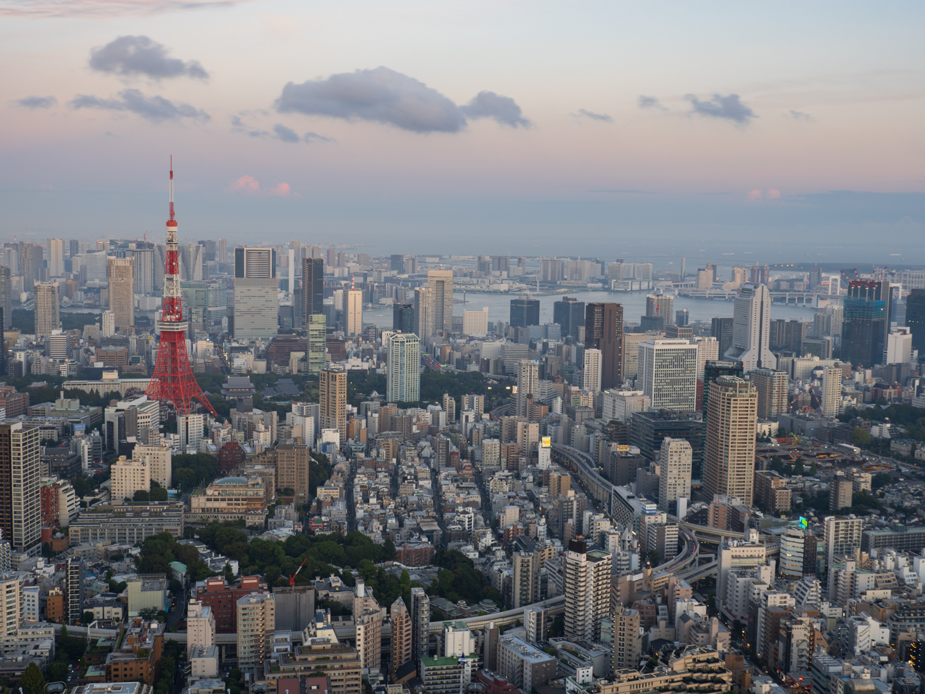 東京の街を一望