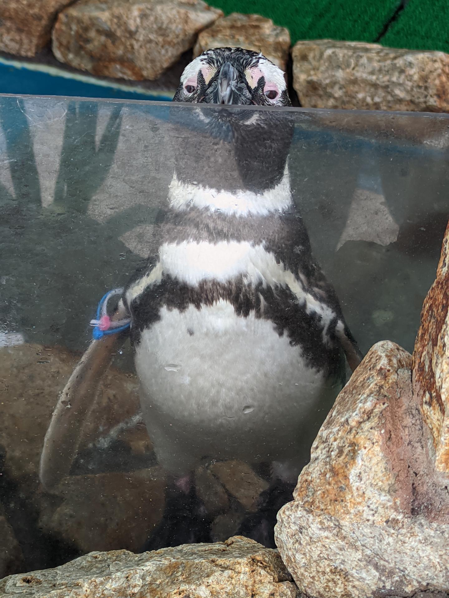 お得で楽しい水族館