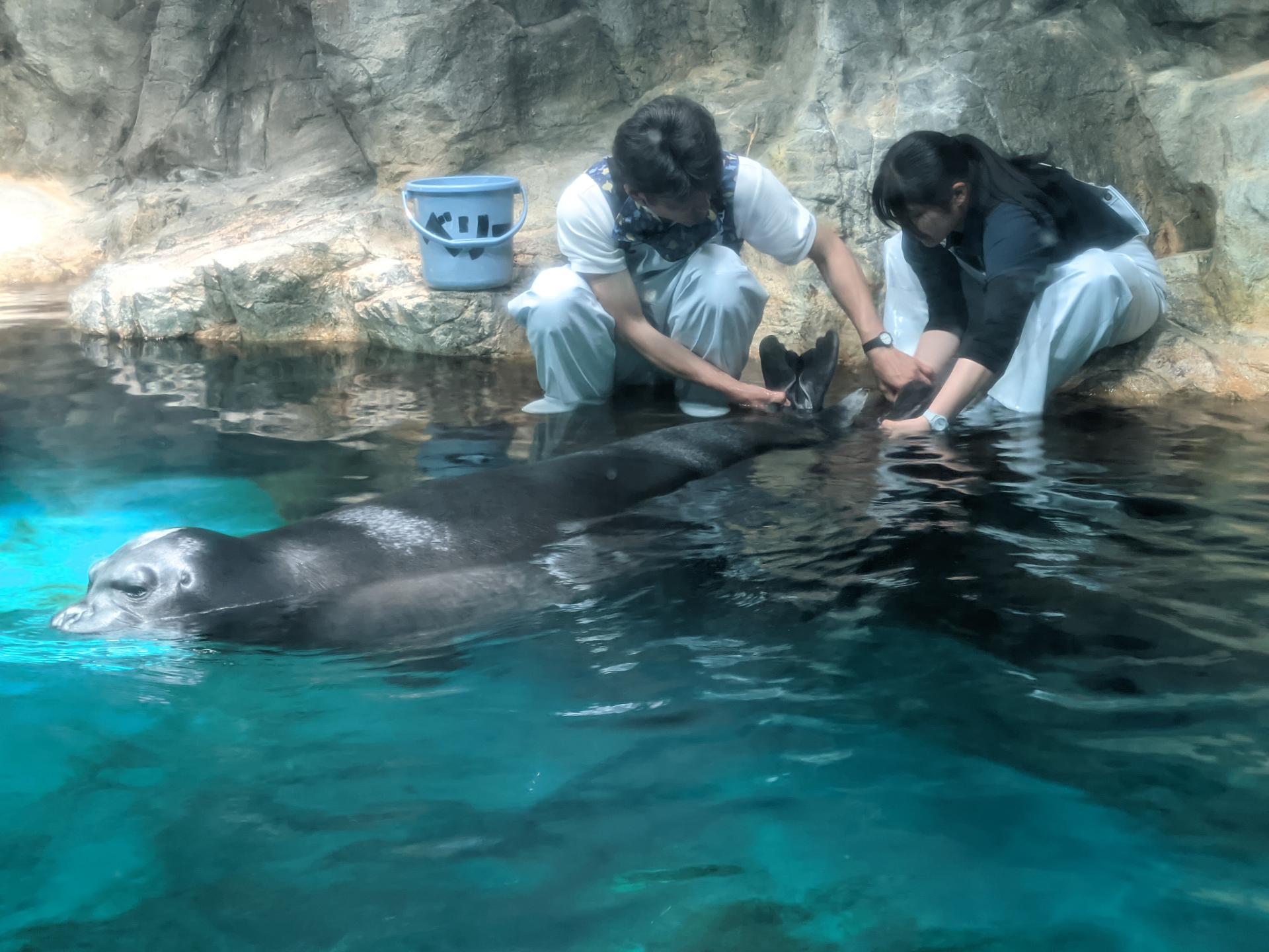 お得で楽しい水族館