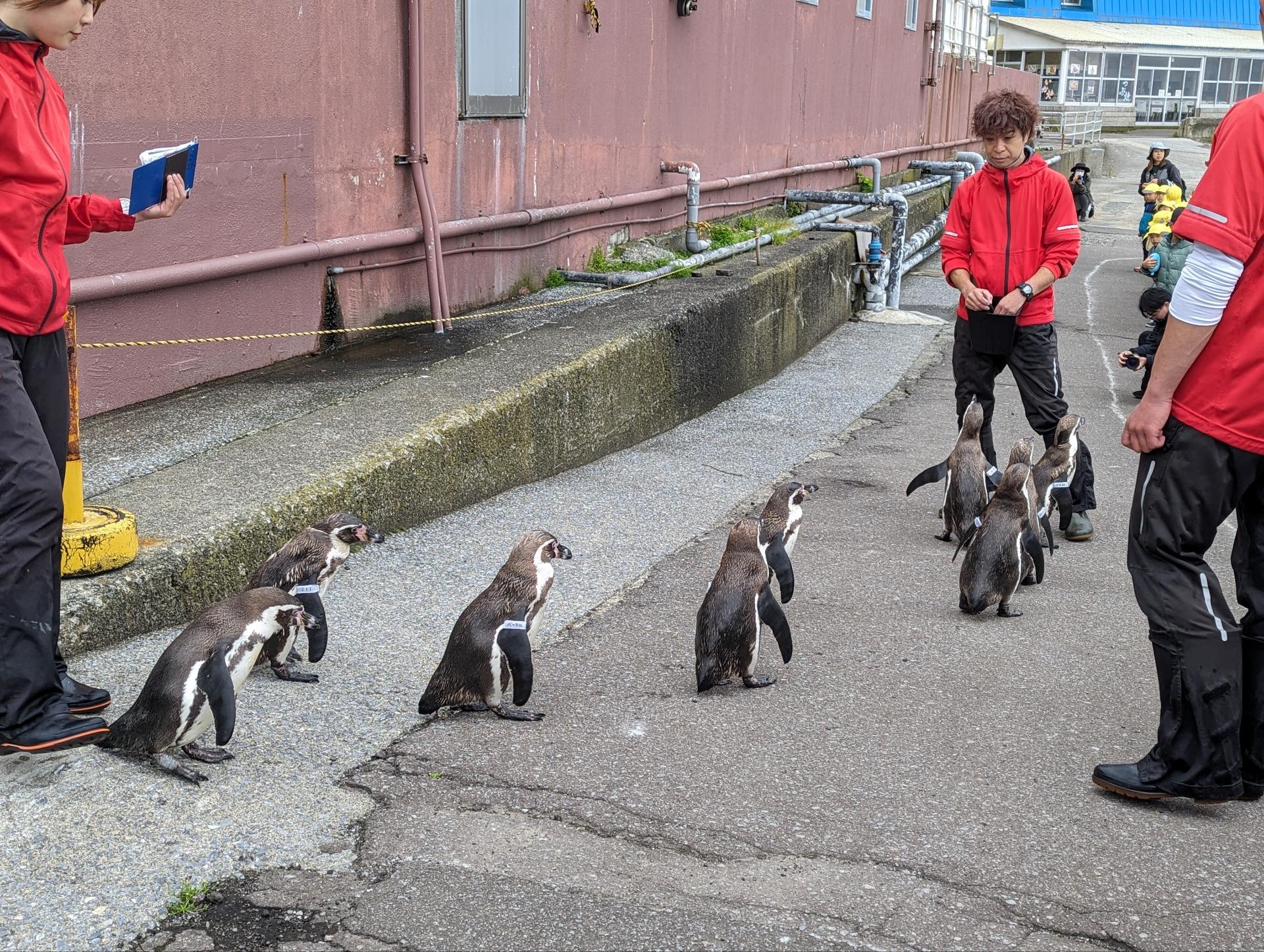 北海道ならではの水族館