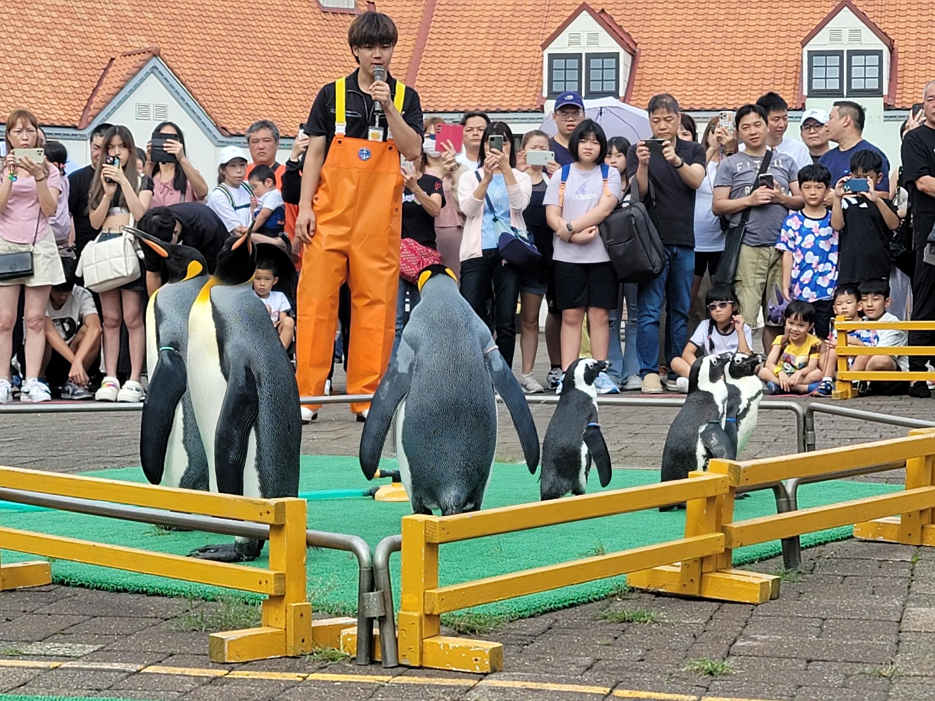 家族旅行にぴったりの観光スポット