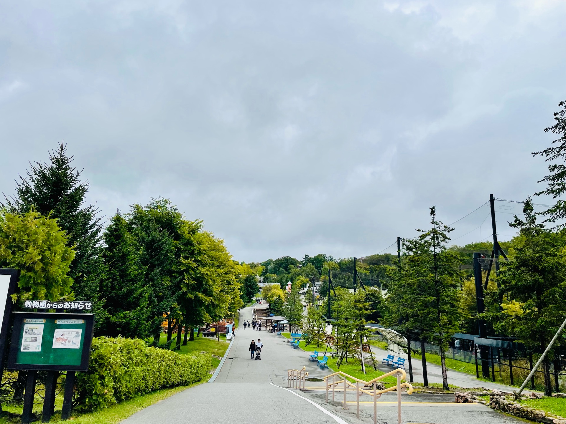 間近で見られる！学べる動物園