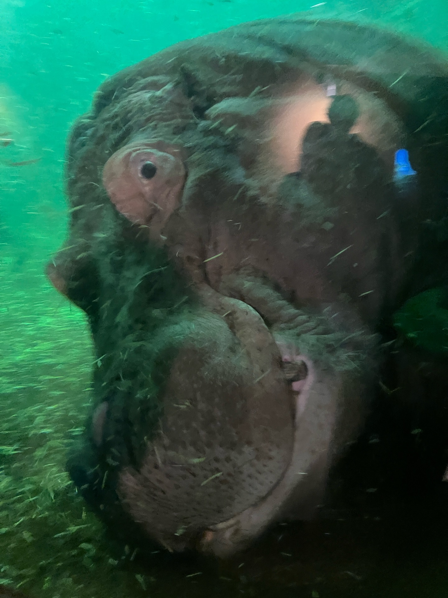 楽しい動物園