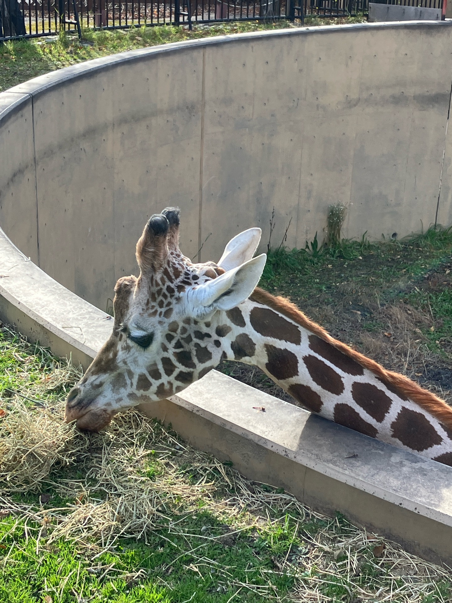 楽しい動物園