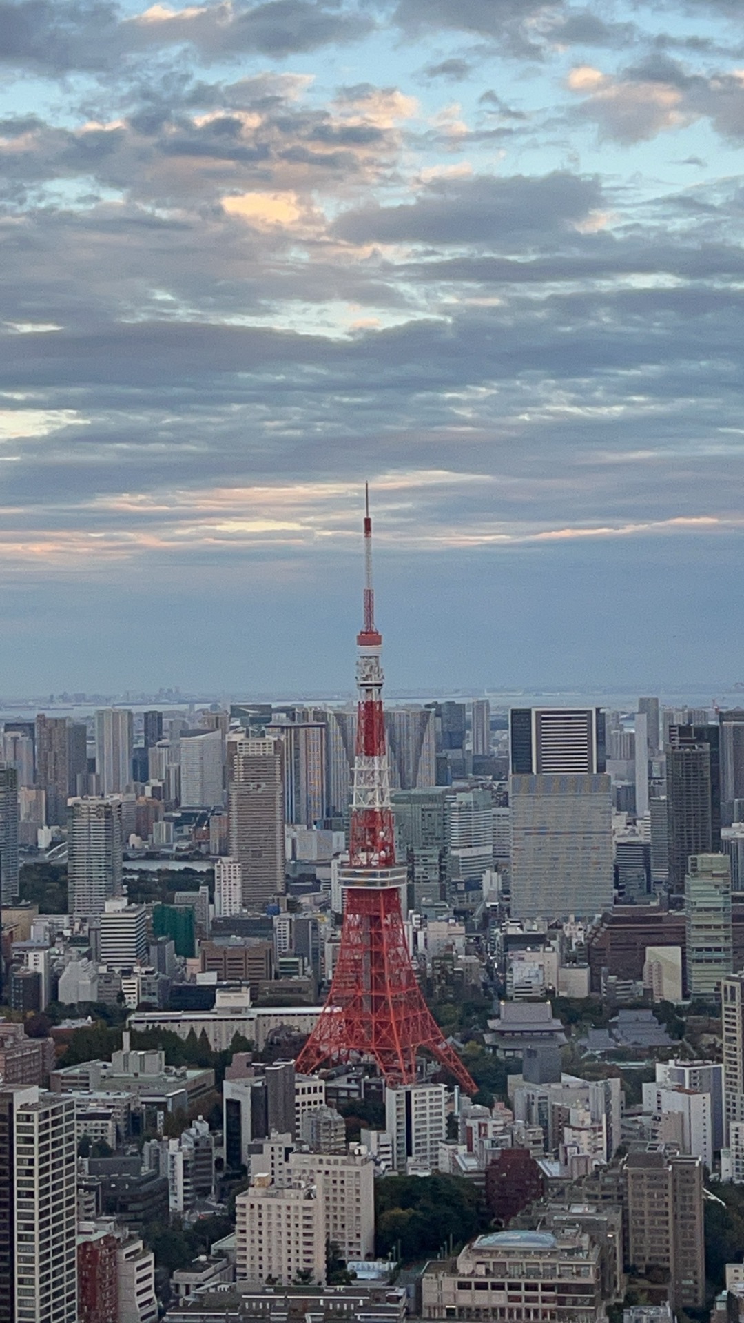 東京振り返り旅行