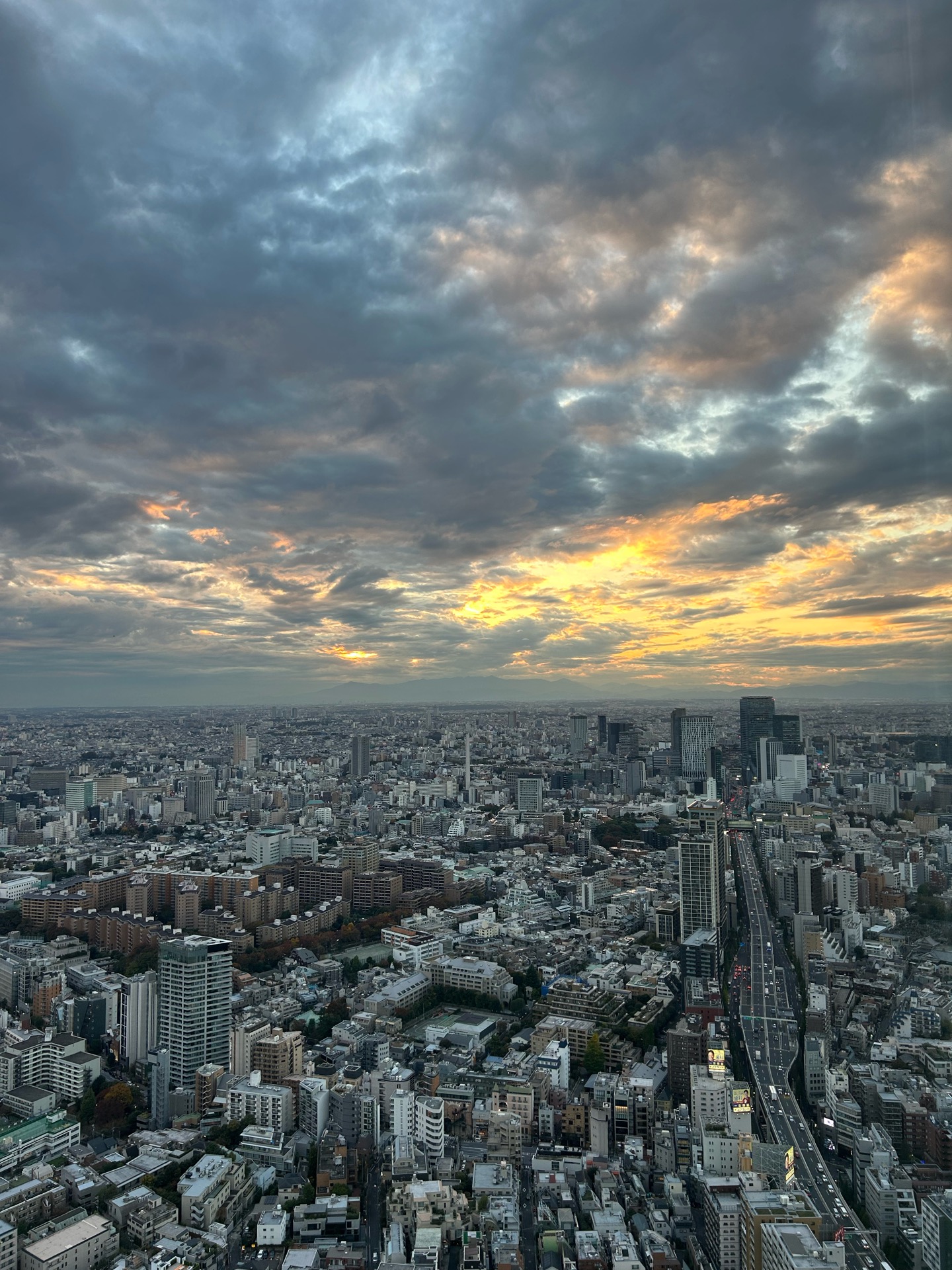 東京振り返り旅行