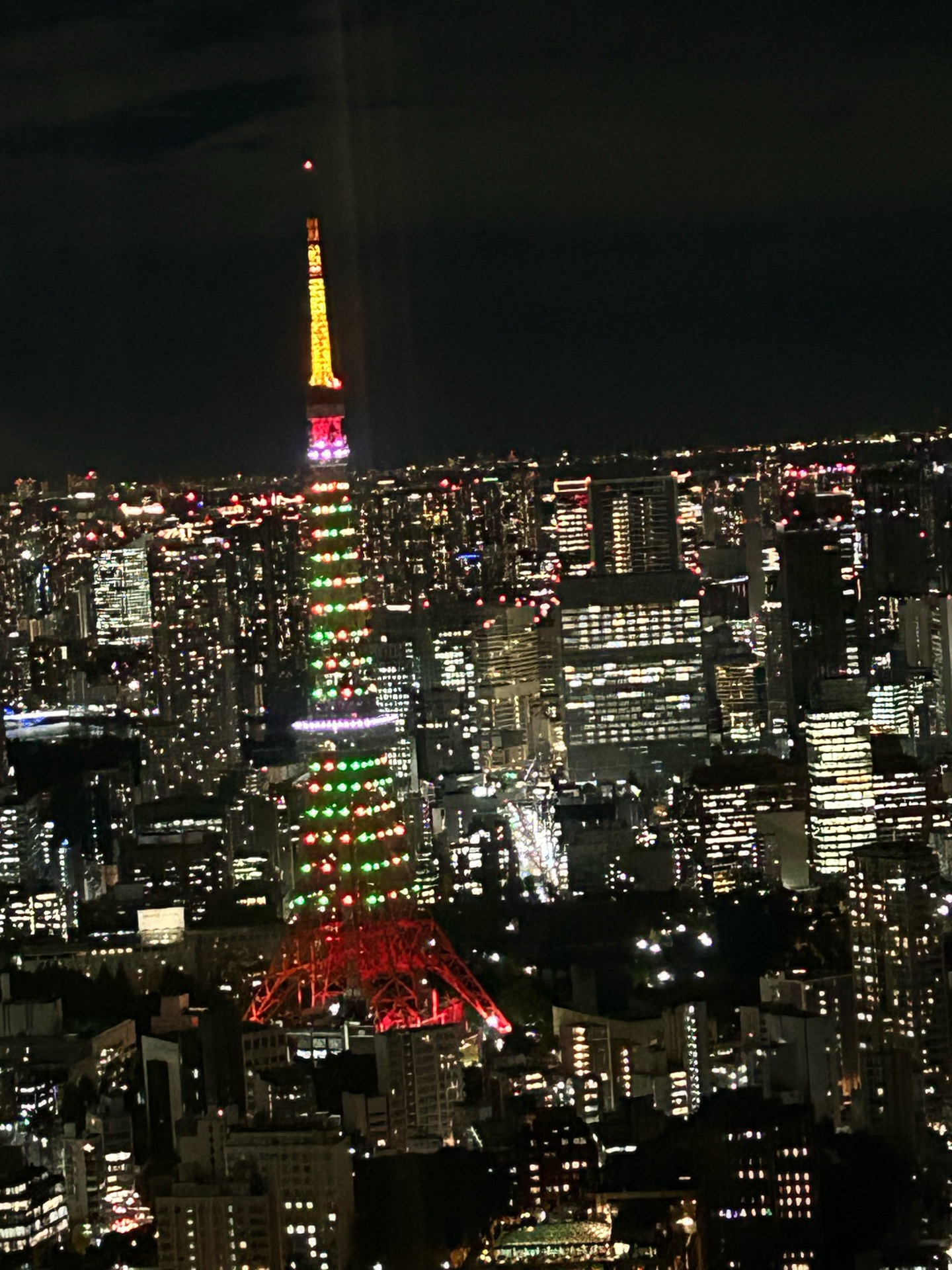 東京振り返り旅行