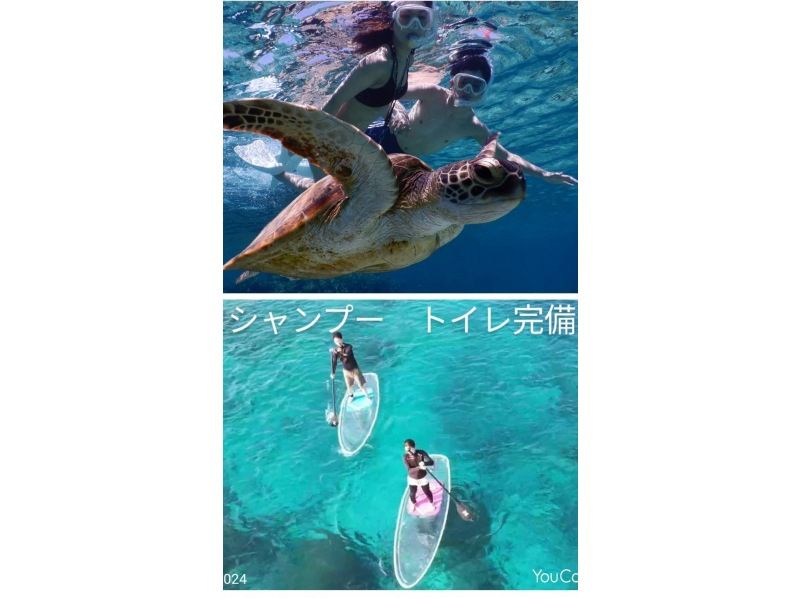 Image of 「SALE!」【宮古島】ウミガメシュノーケル&SUP体験☆10年間遭遇率100%☆水着なし/当日OK☆どちらかのみ相談可能