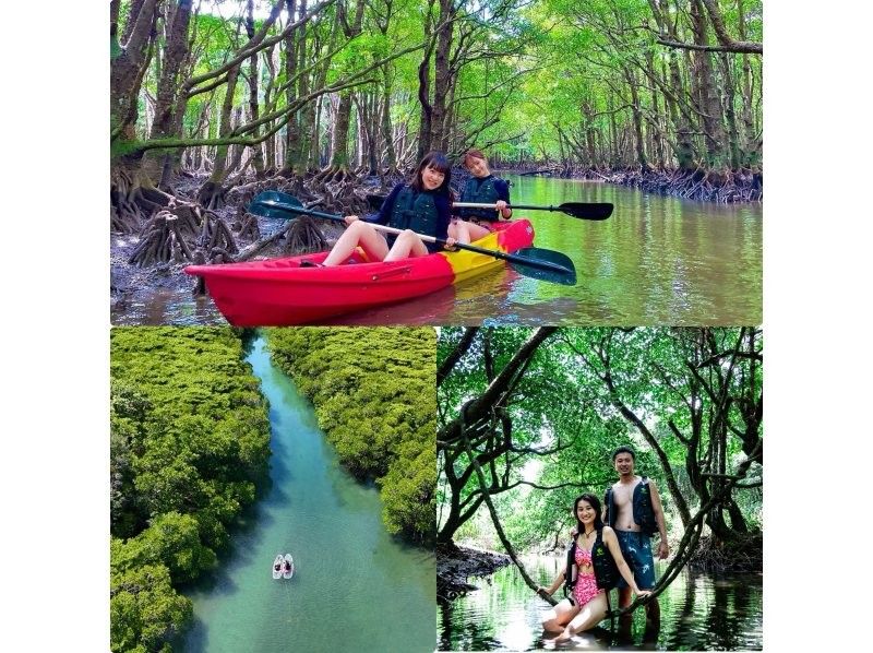 Image of 【石垣島•大人気スポット】熱帯雨林の大自然を颯爽♪不思議な森マングローブをSUPorカヤック体験!!️上陸探索付き!!️当日予約OK!!️写真無料