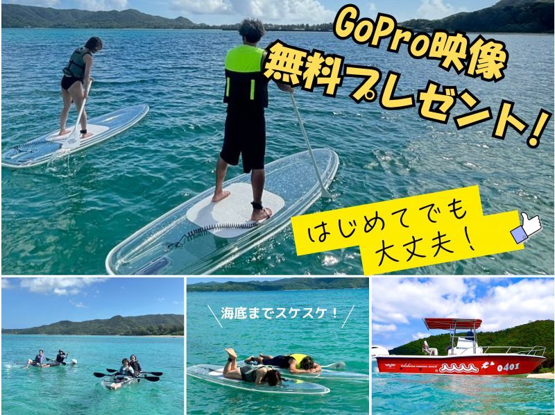 Image of SALE!【奄美大島】【当日予約OK!】海からしか行けない!コウトリ浜で満喫!クリアSUP・クリアカヤックツアー! 撮影データプレゼント!