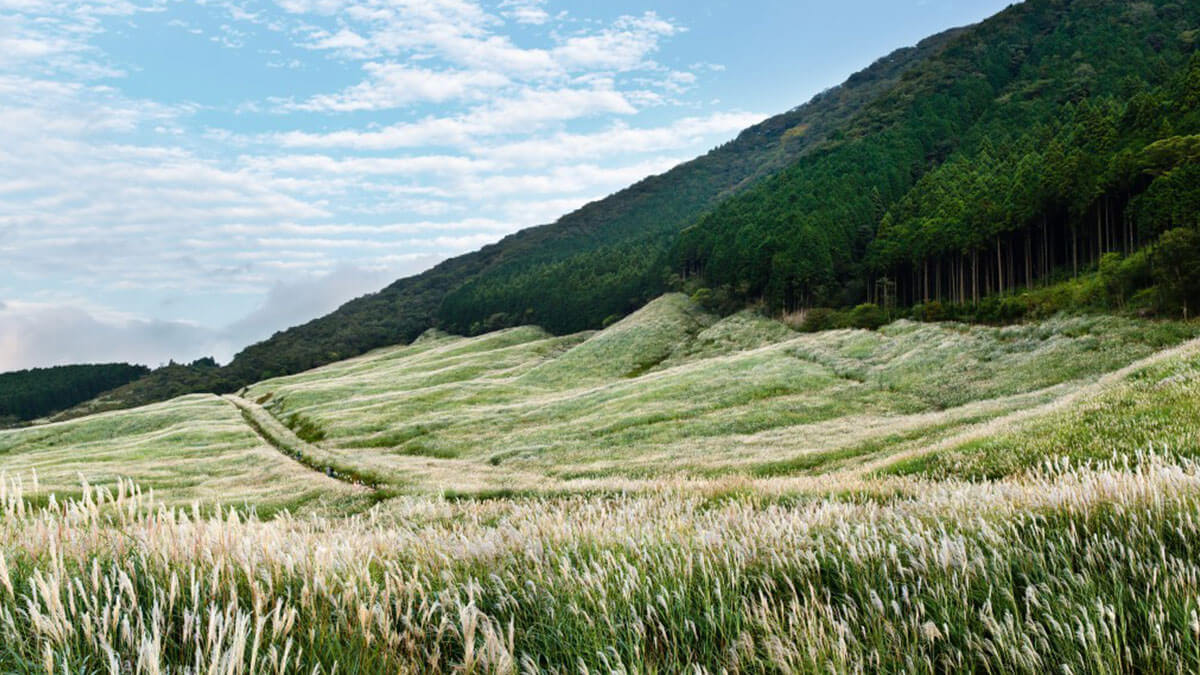 箱根でトレッキング